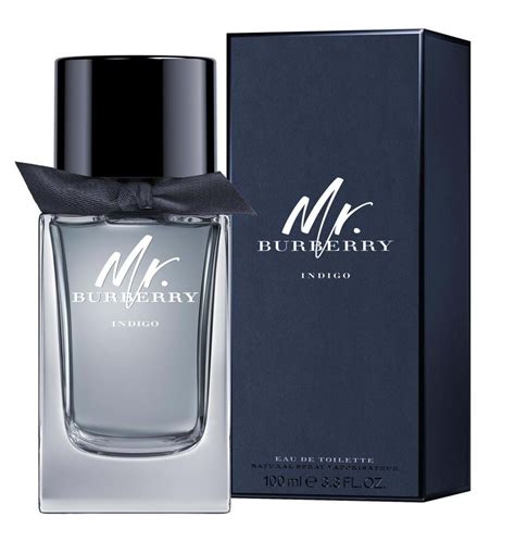 mr burberry by burberry eau de parfum|mr burberry indigo 100ml.